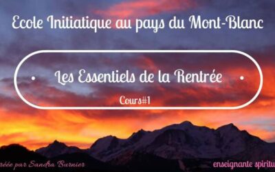 ∞ LES ESSENTIELS DE LA RENTRÉE ∞ 8 septembre 2023